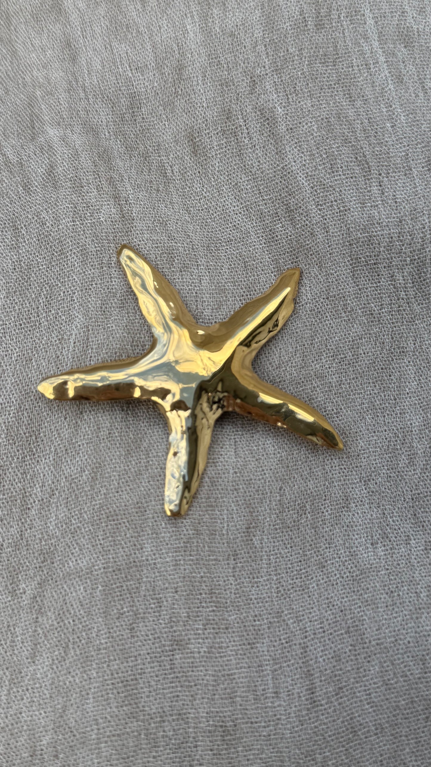 Starfish brooch